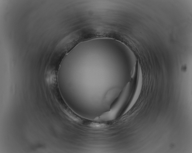 X0000091590137200708201238