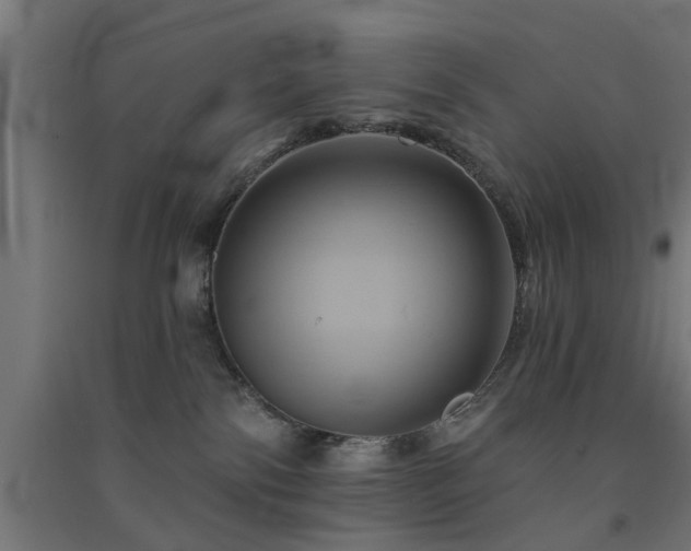 X0000091590138200708201238