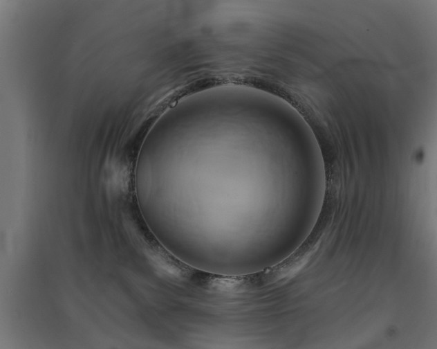 X0000091590139200708201238