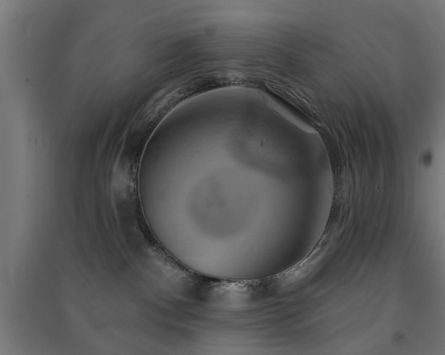 X0000091590140200708201238