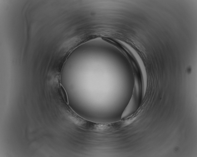 X0000091590141200708201238