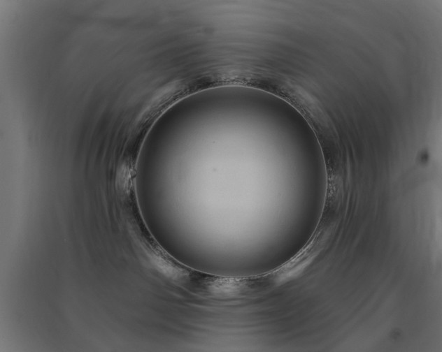 X0000091590142200708201238