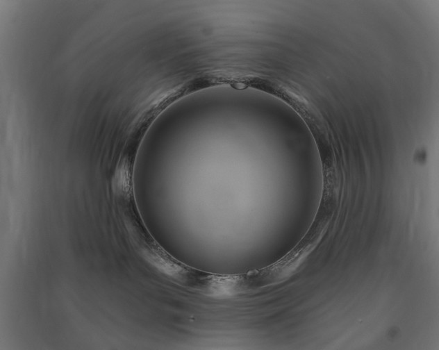 X0000091590143200708201238