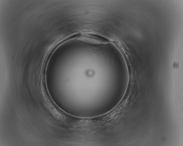 X0000091590145200708201237