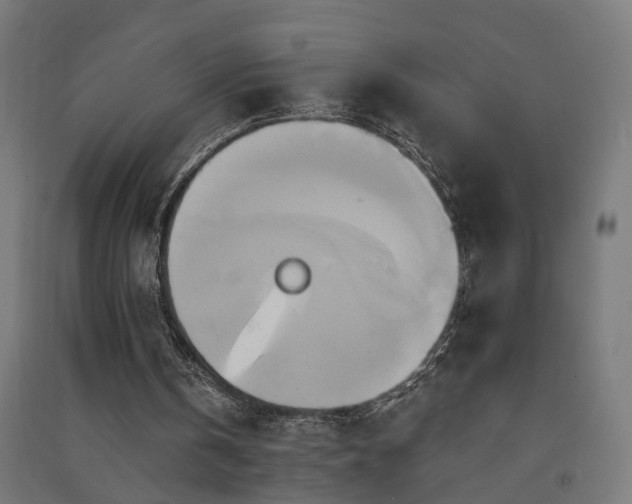 X0000091590146200708201237