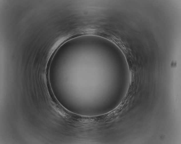 X0000091590147200708201237