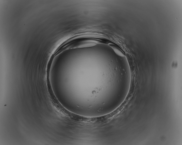 X0000091590148200708201237