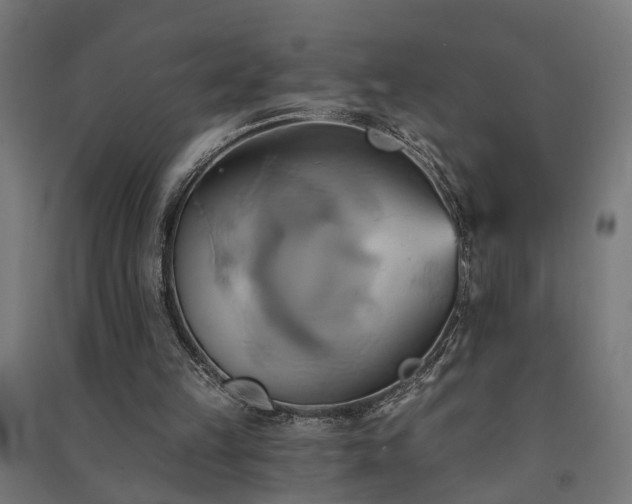 X0000091590149200708201237