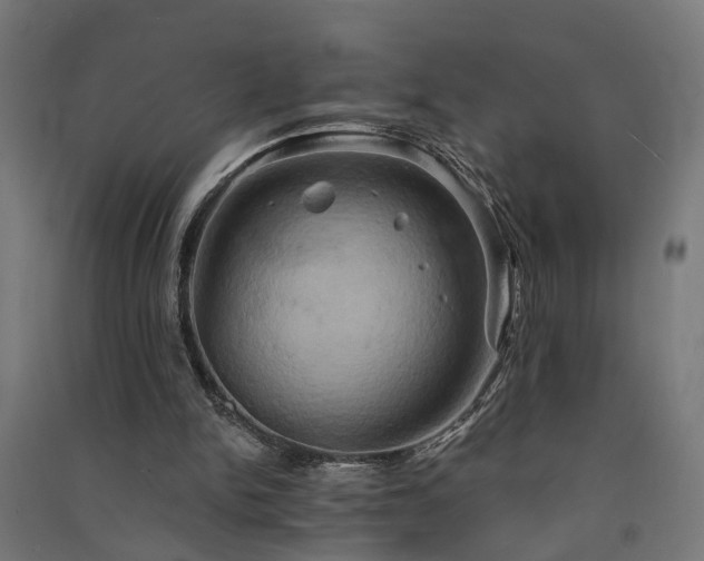 X0000091590150200708201237