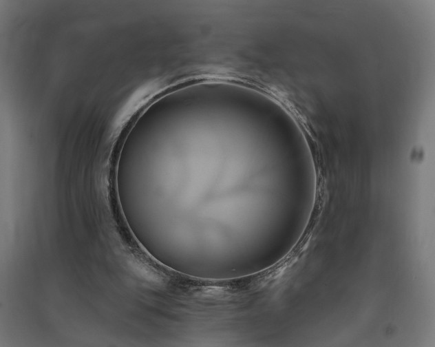 X0000091590151200708201237