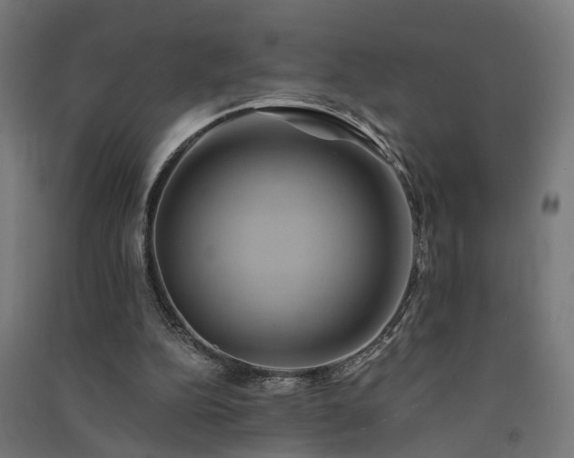 X0000091590152200708201237
