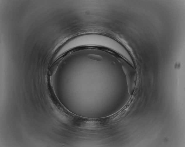 X0000091590154200708201237