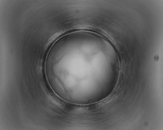 X0000091590155200708201237