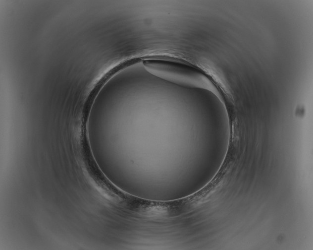 X0000091590156200708201237