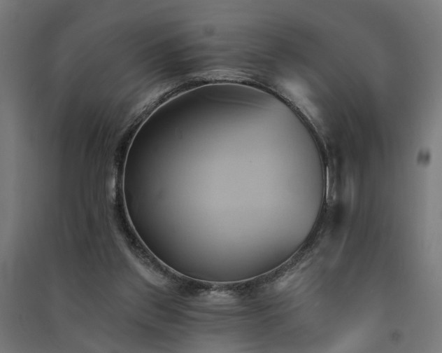 X0000091590157200708201237