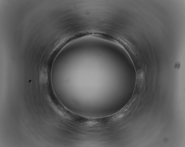 X0000091590158200708201238