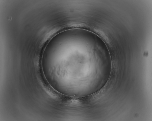 X0000091590159200708201238