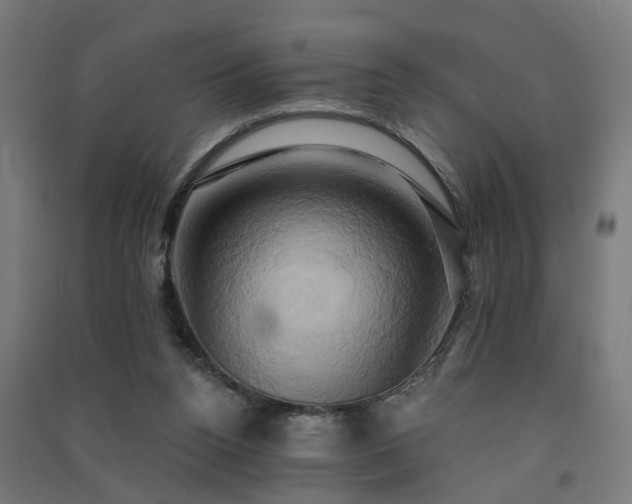 X0000091590160200708201238