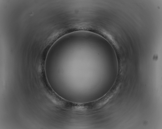 X0000091590161200708201238