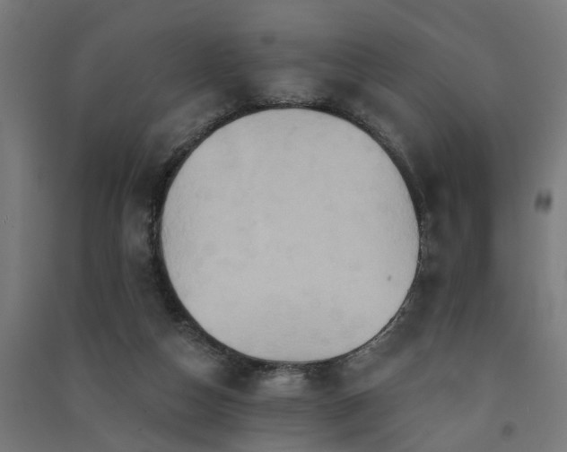 X0000091590162200708201238