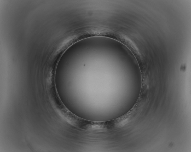 X0000091590163200708201238