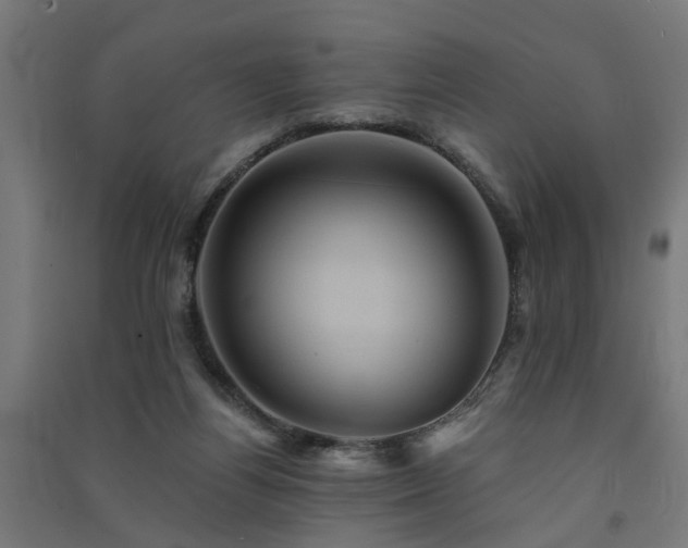 X0000091590164200708201238