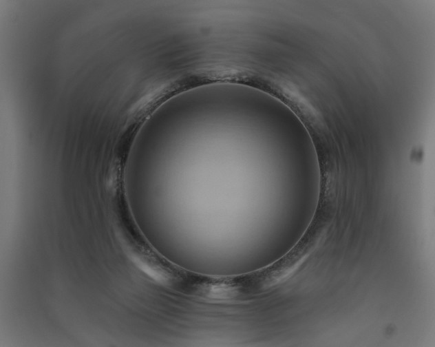 X0000091590165200708201238