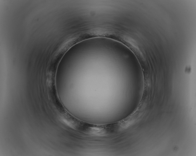 X0000091590167200708201238