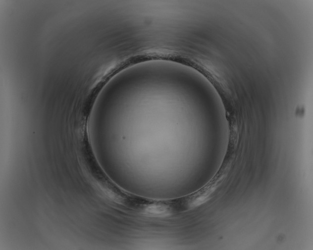 X0000091590168200708201238