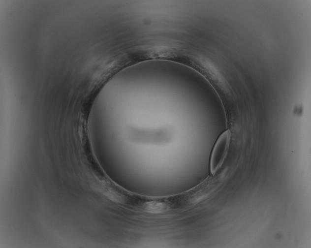 X0000091590169200708201238