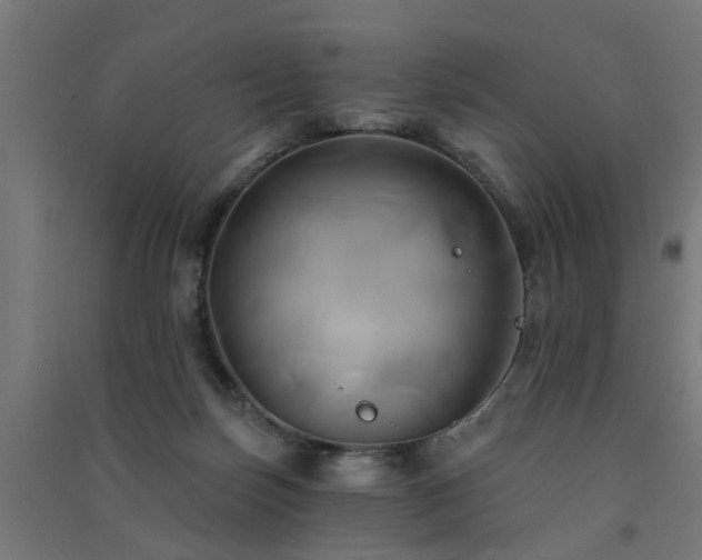 X0000091590171200708201238