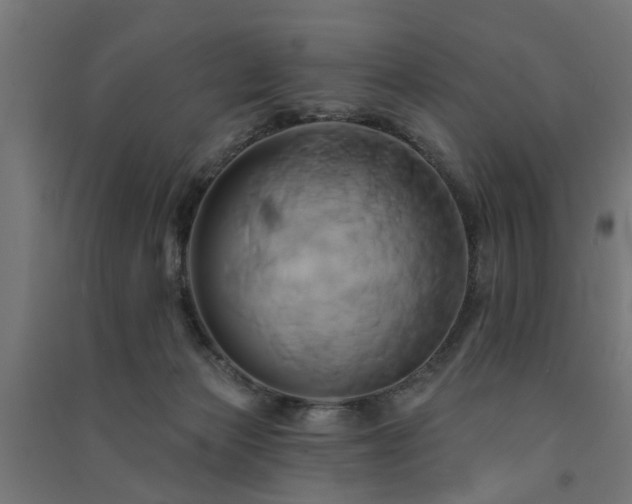 X0000091590173200708201238