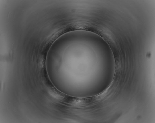 X0000091590174200708201238