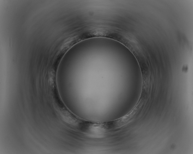 X0000091590175200708201238