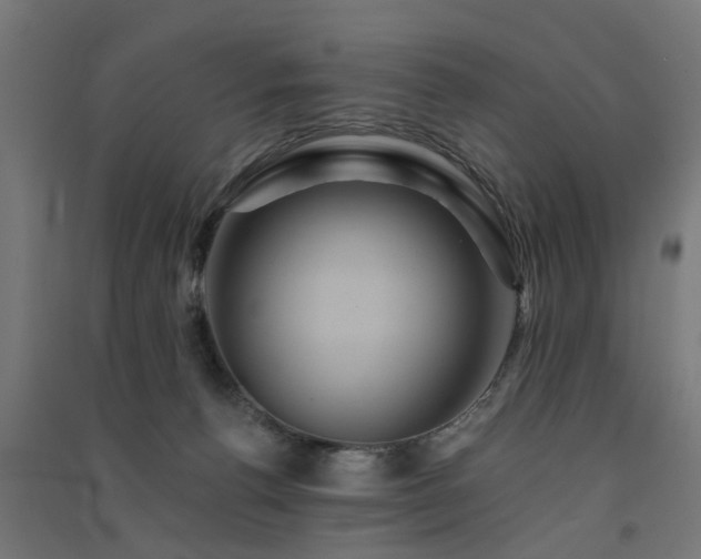 X0000091590176200708201238