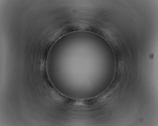 X0000091590177200708201238