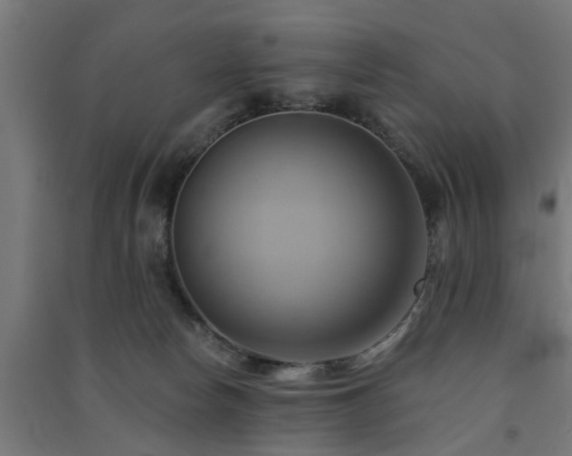X0000091590178200708201238