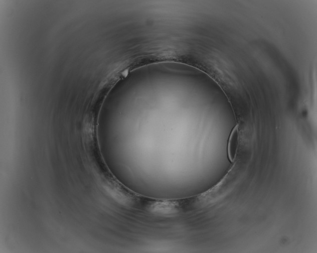 X0000091590179200708201238