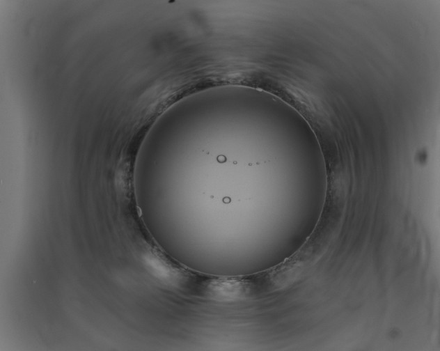 X0000091590181200708201238