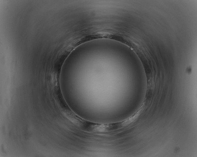 X0000091590182200708201238
