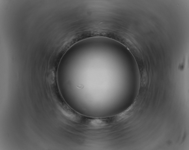 X0000091590183200708201238