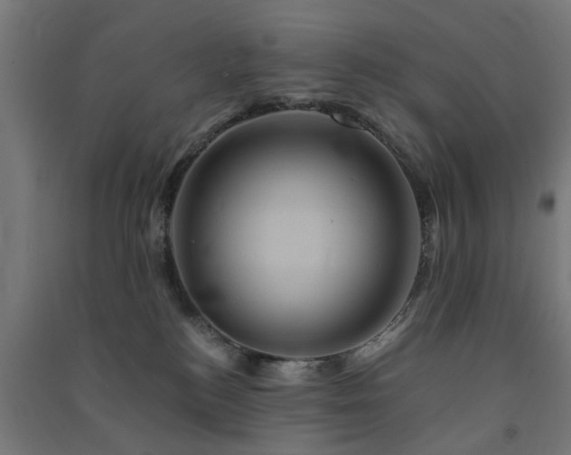 X0000091590184200708201238