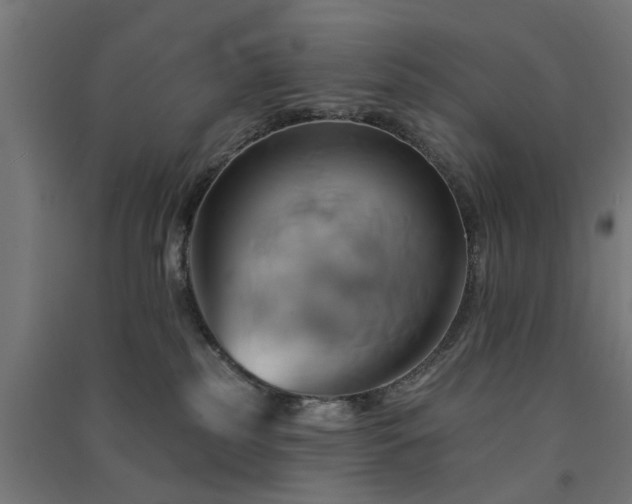 X0000091590185200708201238