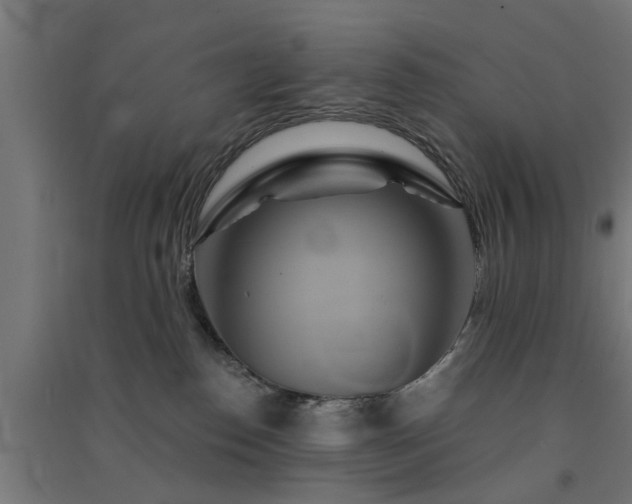 X0000091590186200708201238