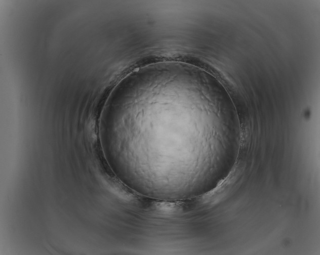 X0000091590187200708201238
