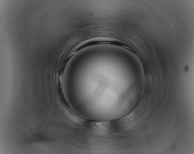 X0000091590188200708201238