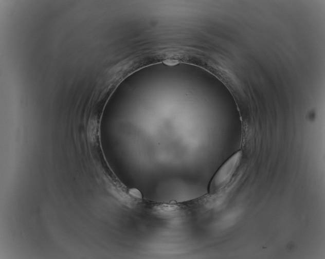 X0000091590189200708201238