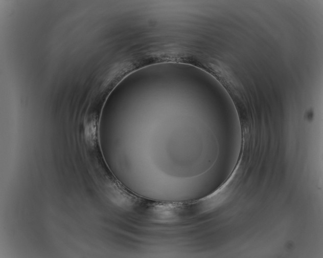 X0000091590190200708201238