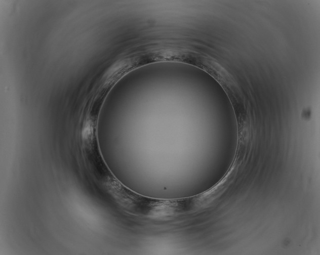 X0000091590191200708201238