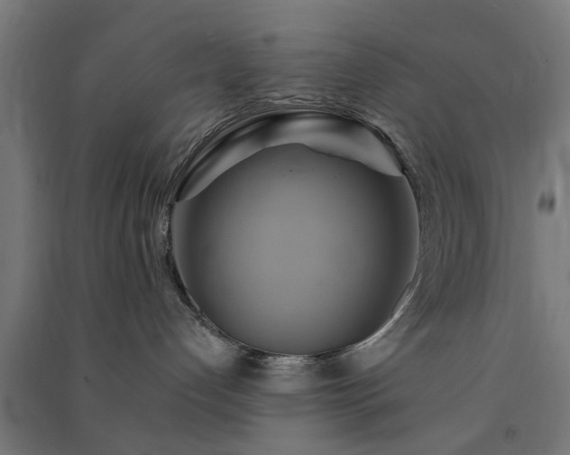 X0000091590192200708201238